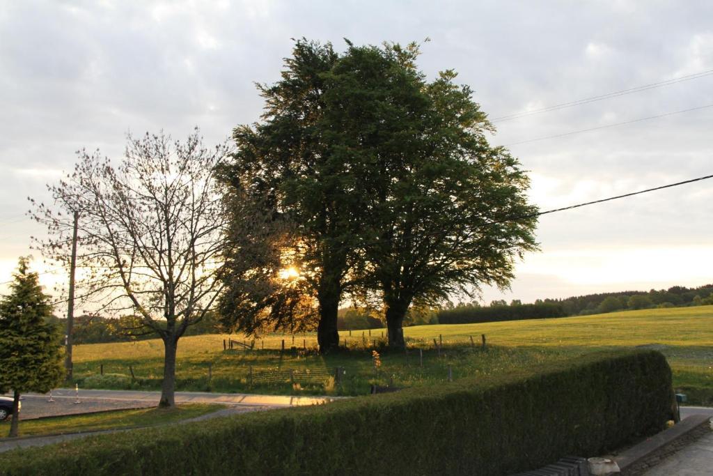 B&B Sol Magnus Stavelot Extérieur photo