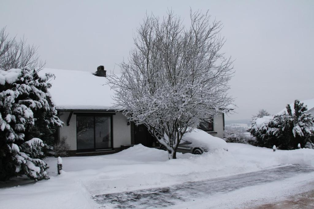 B&B Sol Magnus Stavelot Extérieur photo