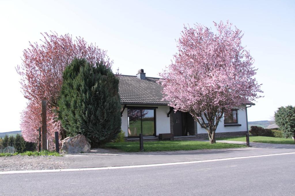 B&B Sol Magnus Stavelot Extérieur photo