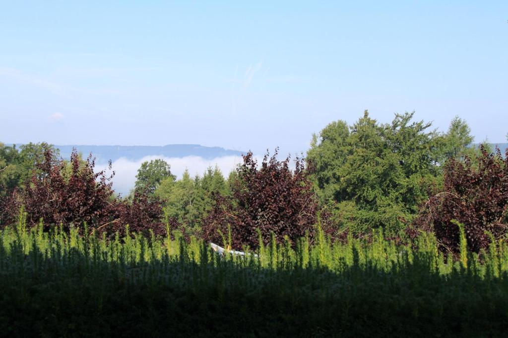 B&B Sol Magnus Stavelot Extérieur photo